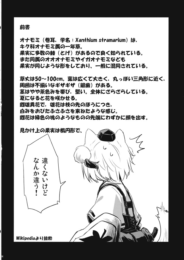 東方Projectのエロ漫画3枚目