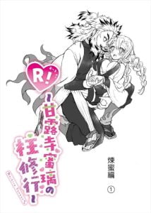 【鬼滅の刃】今時間あります？100ページを超える作品なのでじっくり読んでくださいね？煉獄さんと甘露寺さんのイチャラブ本！